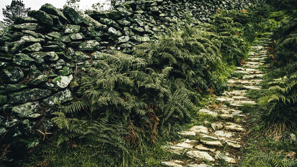 Un terrain de course à pied